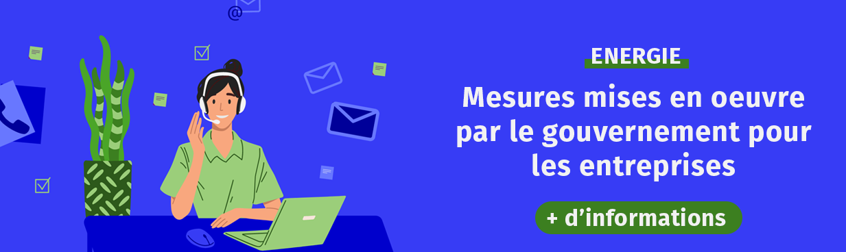 Crise de l'énergie