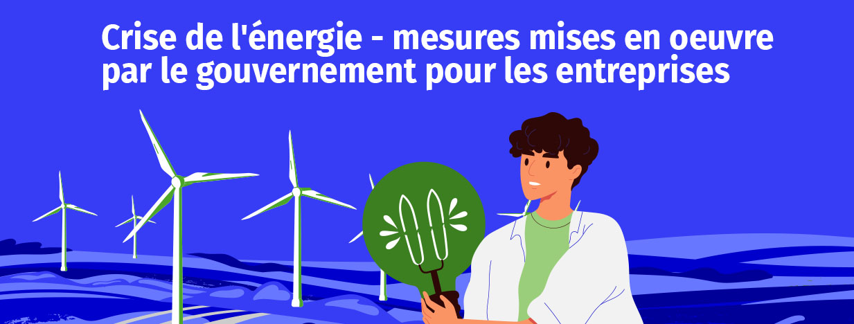 Crise de l'énergie